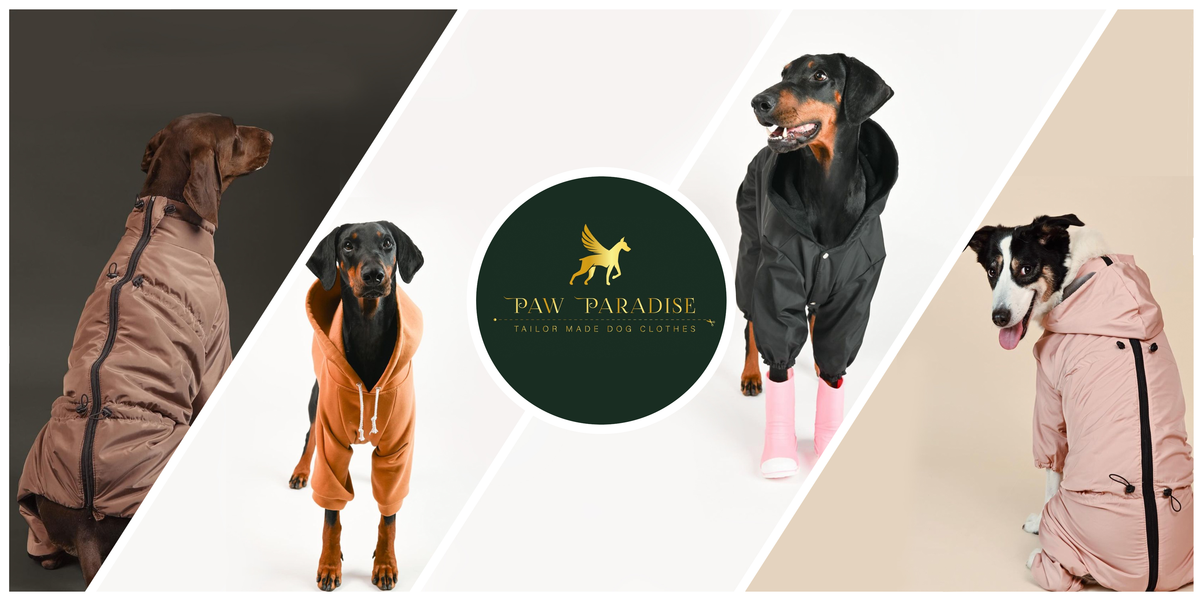 paw copy Зимни облекла за кучета, заснети в професионална фотосесия от Студио Жълто куче.