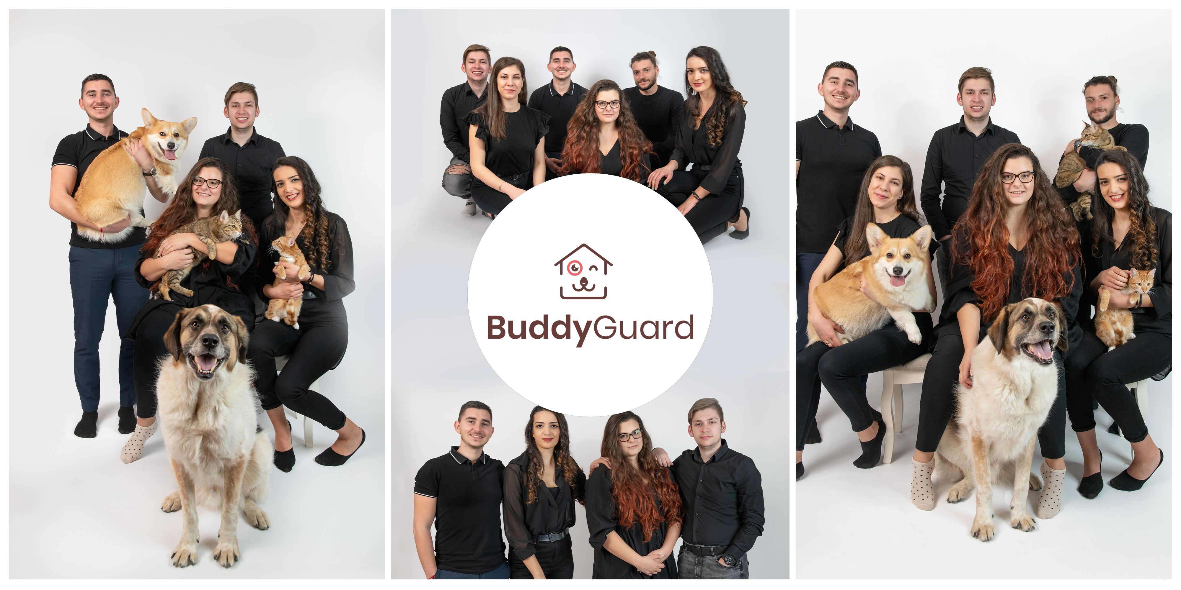 buddygard copy Екипът на BuddyGuard с домашни любимци – професионална фотосесия, заснета в Студио Жълто куче.